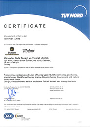 ISO9001-2015-EN-2019